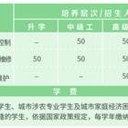 高职专科