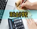 会计电算化(会计） | 壹号棋牌ap