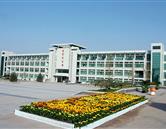 需要原文时请核对应栏目发布页
