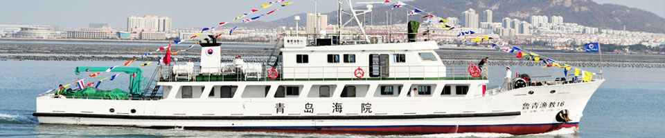 壹号棋牌最新版本
