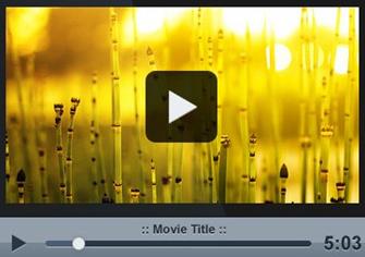 唐山文化宫技校 / 唐山凤凰技校 /