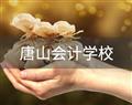 钻石 | 税务会计 | 推荐壹号棋牌