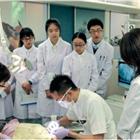 壹号棋牌最新版本安全访问师生荣誉成就