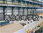类别：职业中专