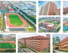 地址：菏泽